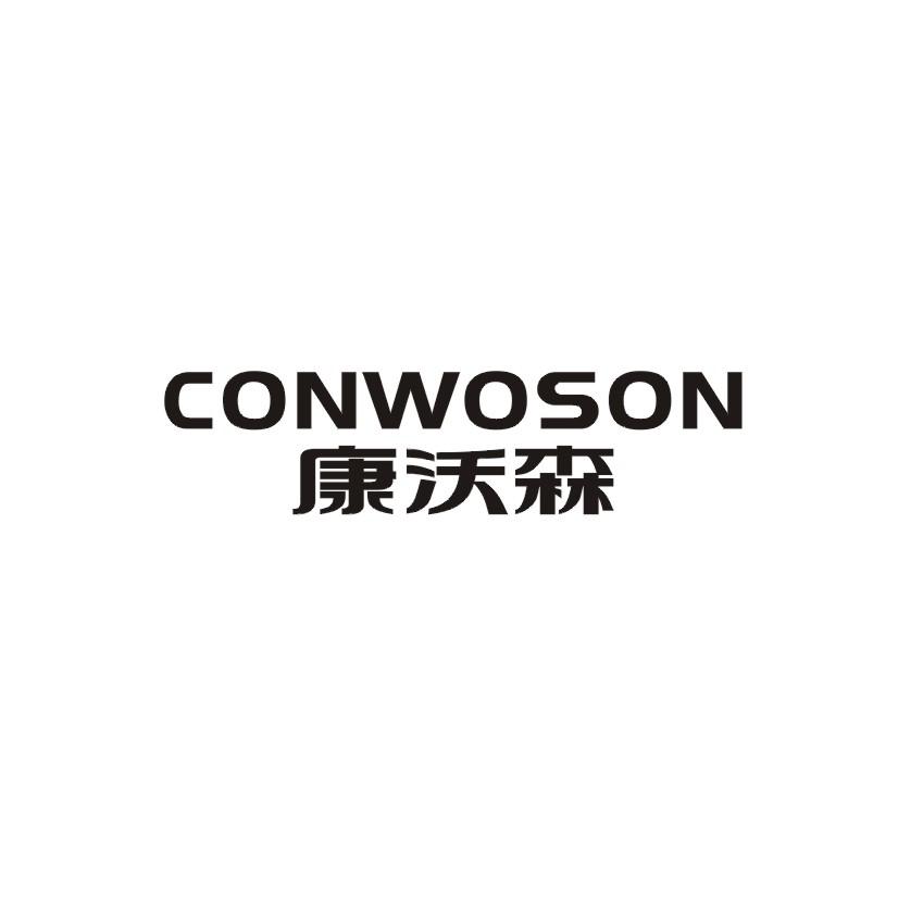 19类-建筑材料康沃森  CONWOSON商标转让
