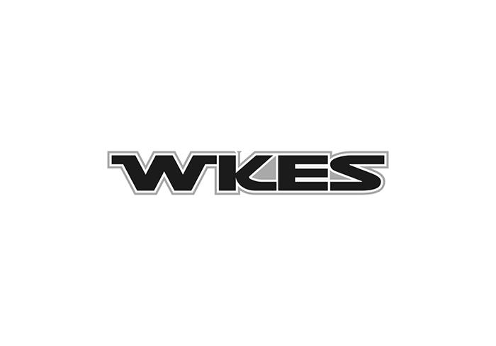 09类-科学仪器WKES商标转让