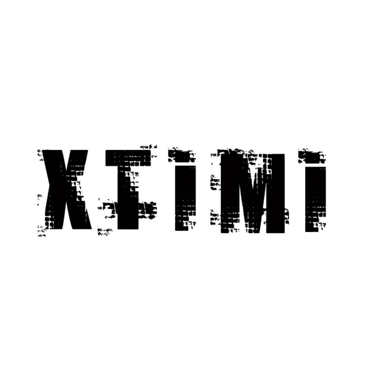 28类-健身玩具XTIMI商标转让