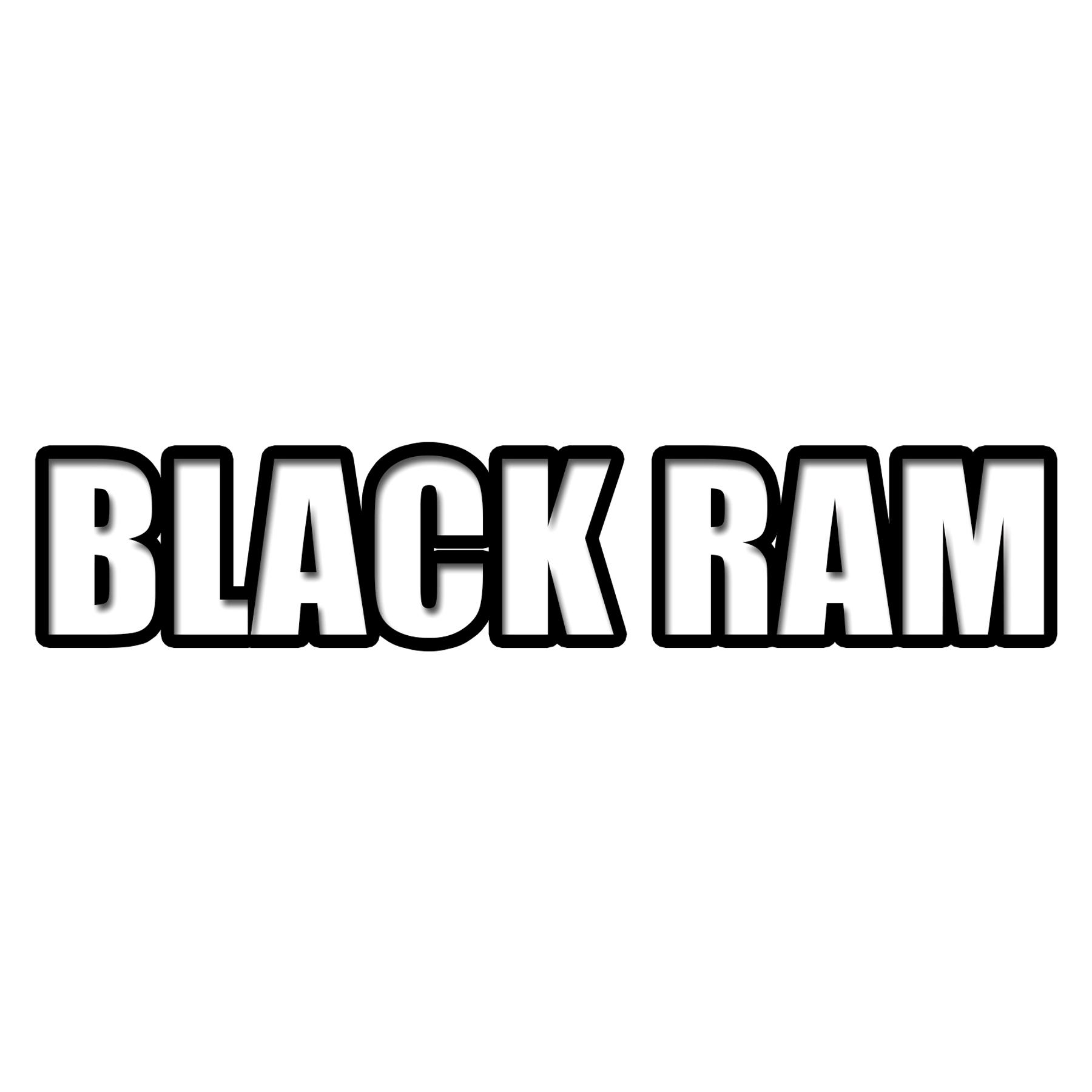 18类-箱包皮具BLACK RAM商标转让