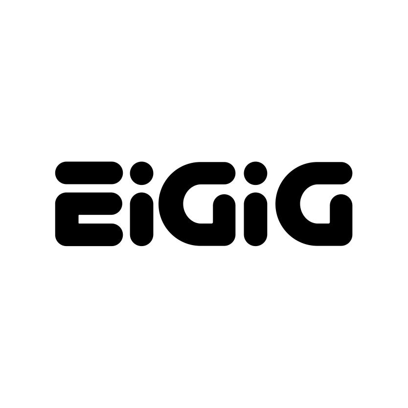 EIGIG商标转让