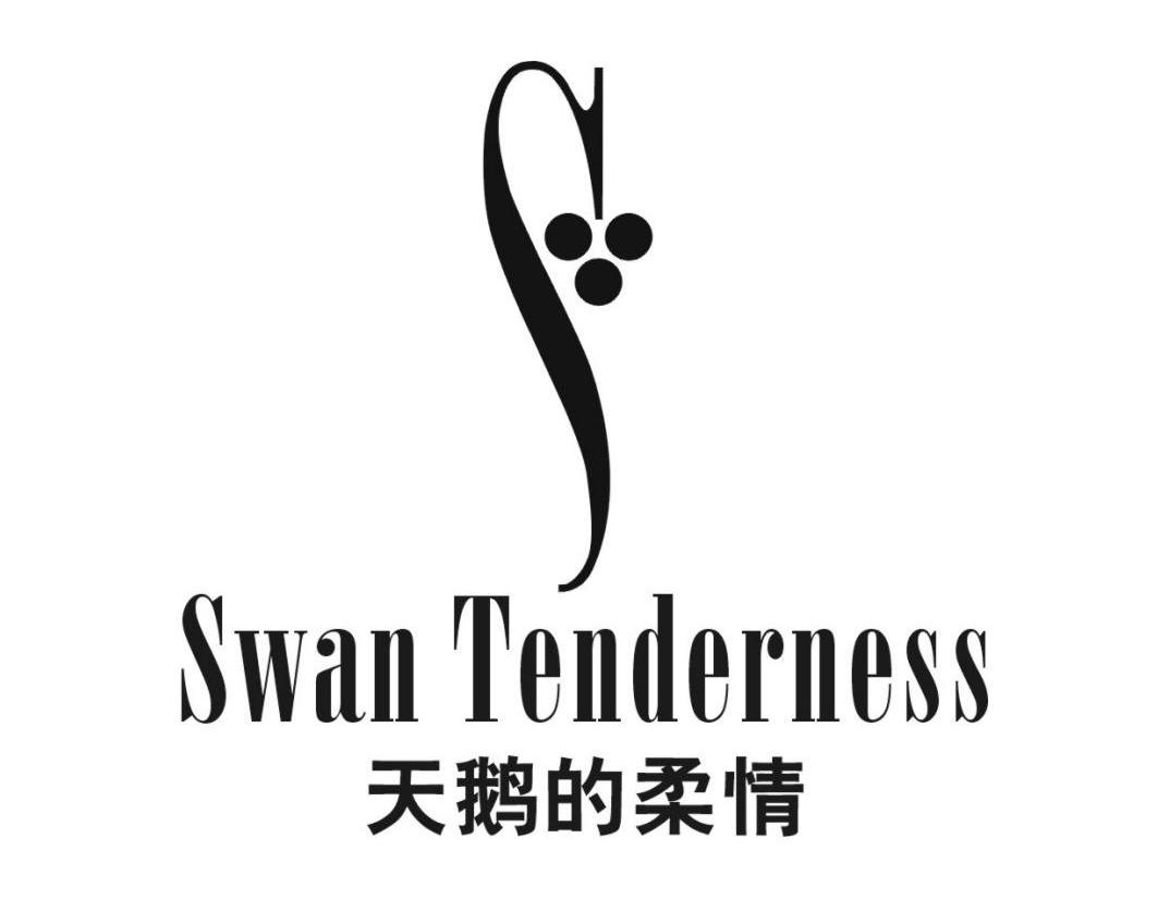 05类-医药保健天鹅的柔情 SWAN TENDERNESS商标转让