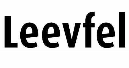 09类-科学仪器LEEVFEL商标转让