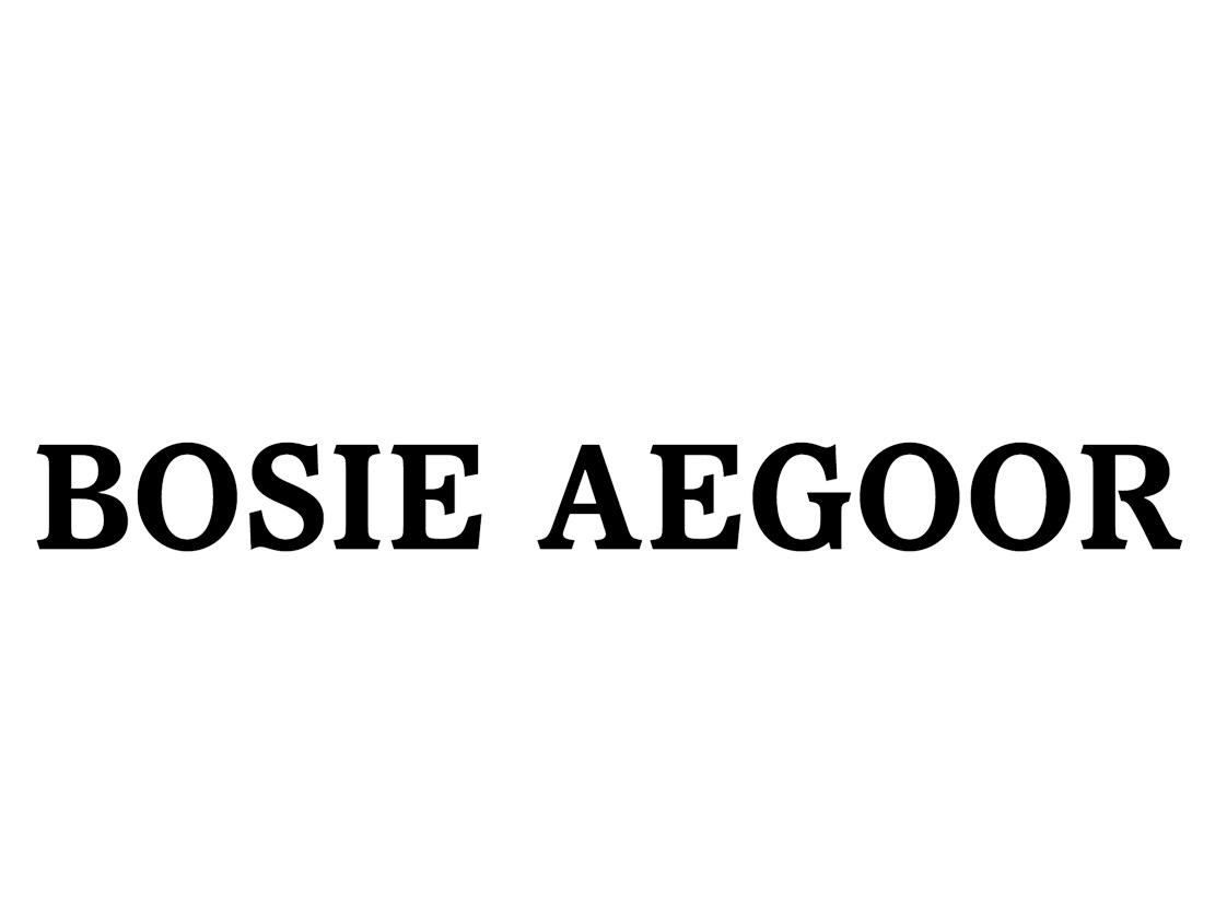 25类-服装鞋帽BOSIE AEGOOR商标转让