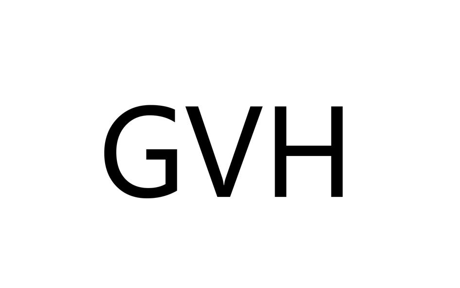 04类-燃料油脂GVH商标转让