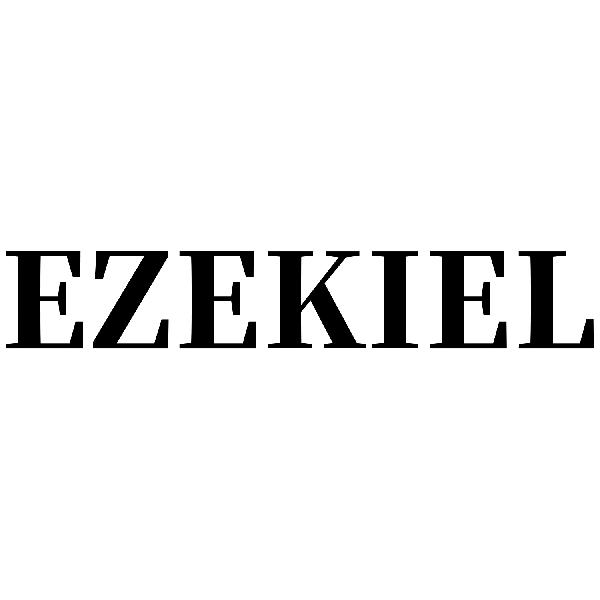 10类-医疗器械EZEKIEL商标转让