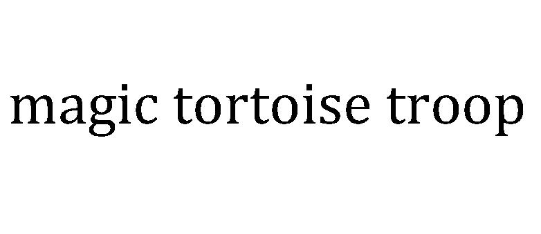 03类-日化用品MAGIC TORTOISE TROOP商标转让