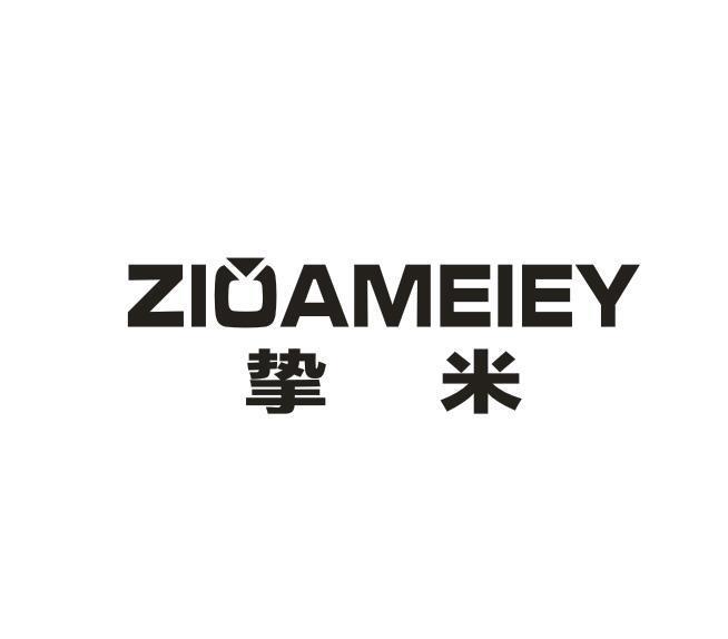11类-电器灯具ZIOAMEIEY 挚米商标转让