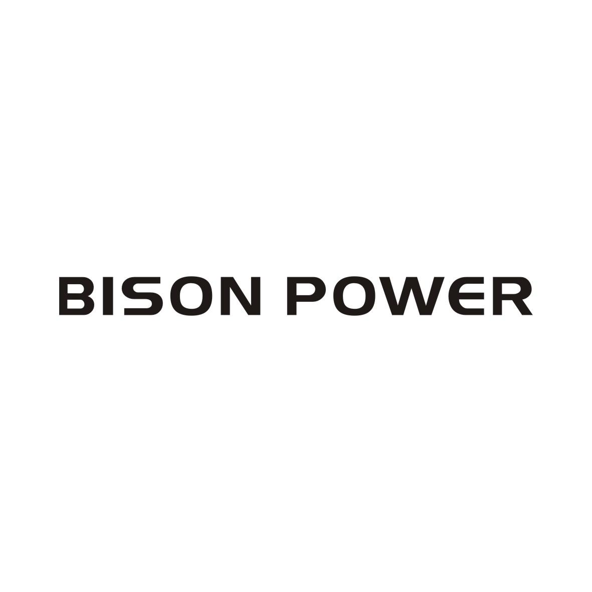 22类-网绳篷袋BISON POWER商标转让