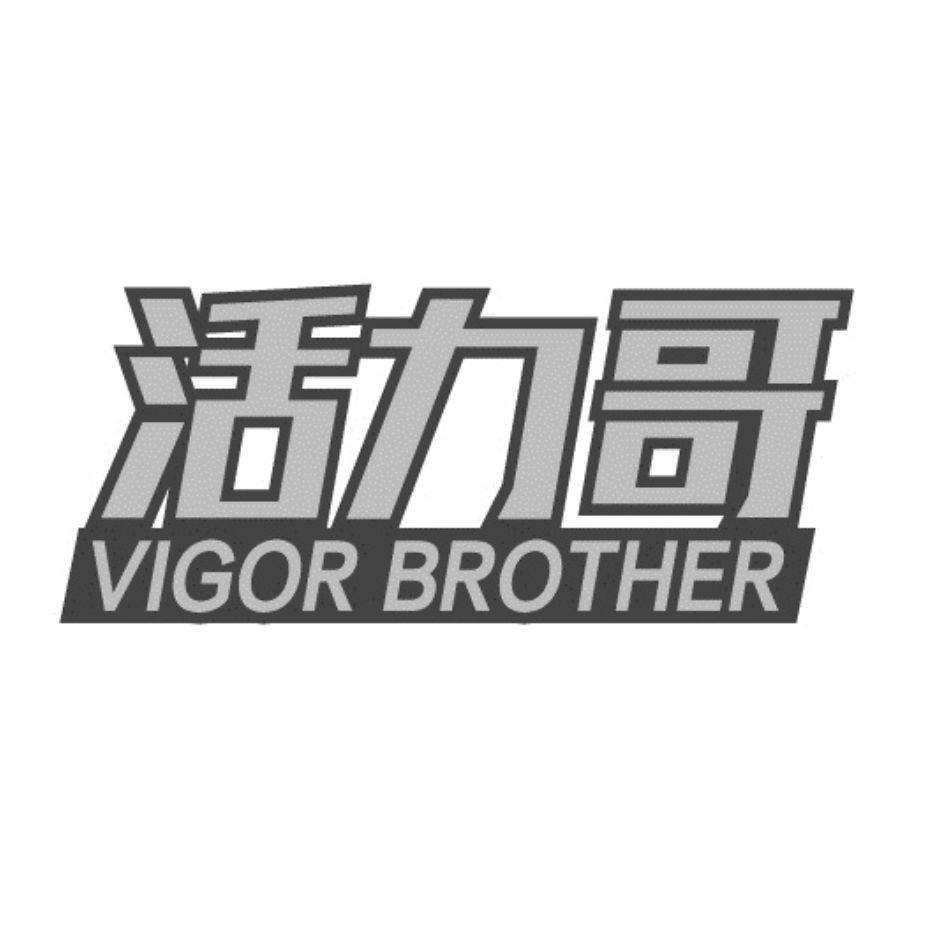 29类-食品活力哥 VIGOR BROTHER商标转让
