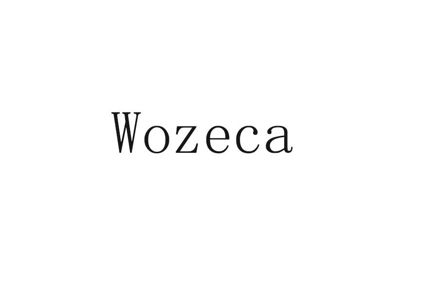 海外商标转让-11类电器灯具-WOZECA