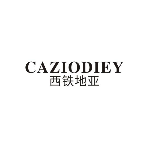 14类-珠宝钟表CAZIODIEY 西铁地亚商标转让