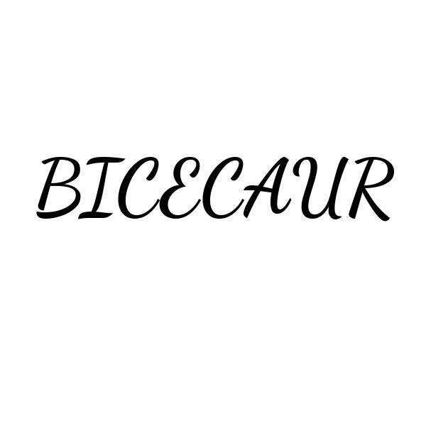 03类-日化用品BICECAUR商标转让