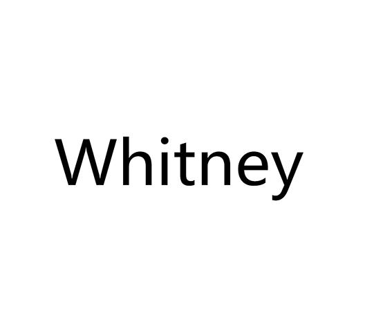 03类-日化用品WHITNEY商标转让