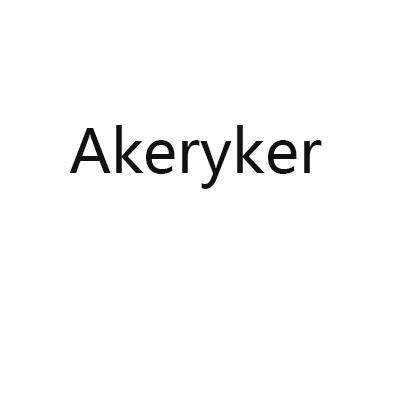 09类-科学仪器AKERYKER商标转让