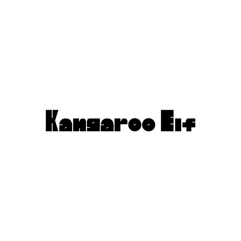 28类健身玩具-KANGAROO ELF