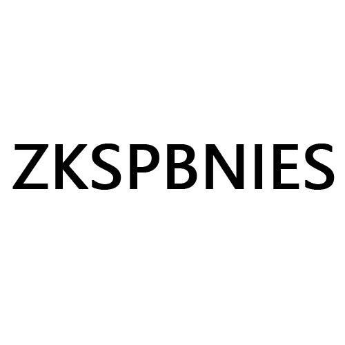 20类-家具ZKSPBNIES商标转让