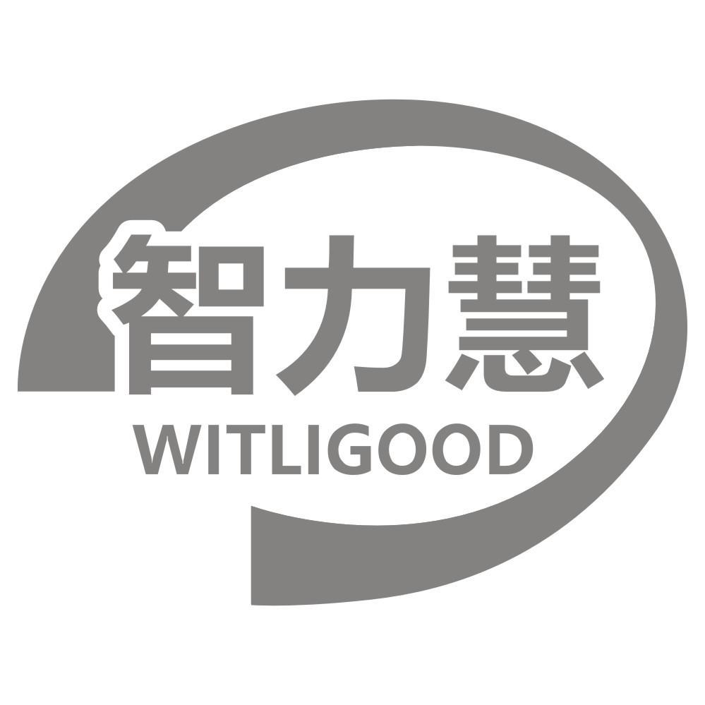 09类-科学仪器智力慧 WITLIGOOD商标转让