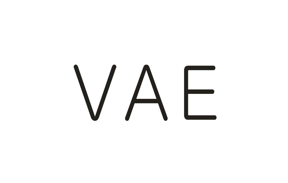 09类-科学仪器VAE商标转让