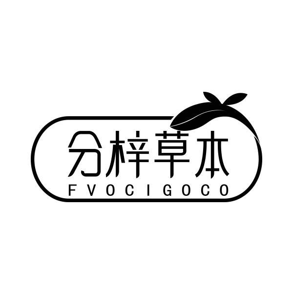 05类-医药保健分梓草本 FVOCIGOCO商标转让