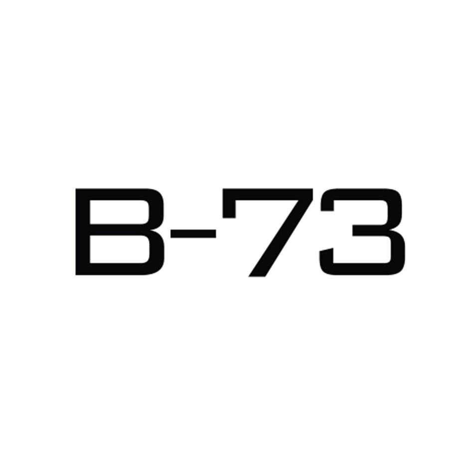 B-73商标转让