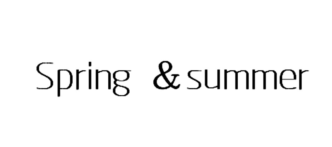 16类-办公文具SPRING&amp;SUMMER商标转让