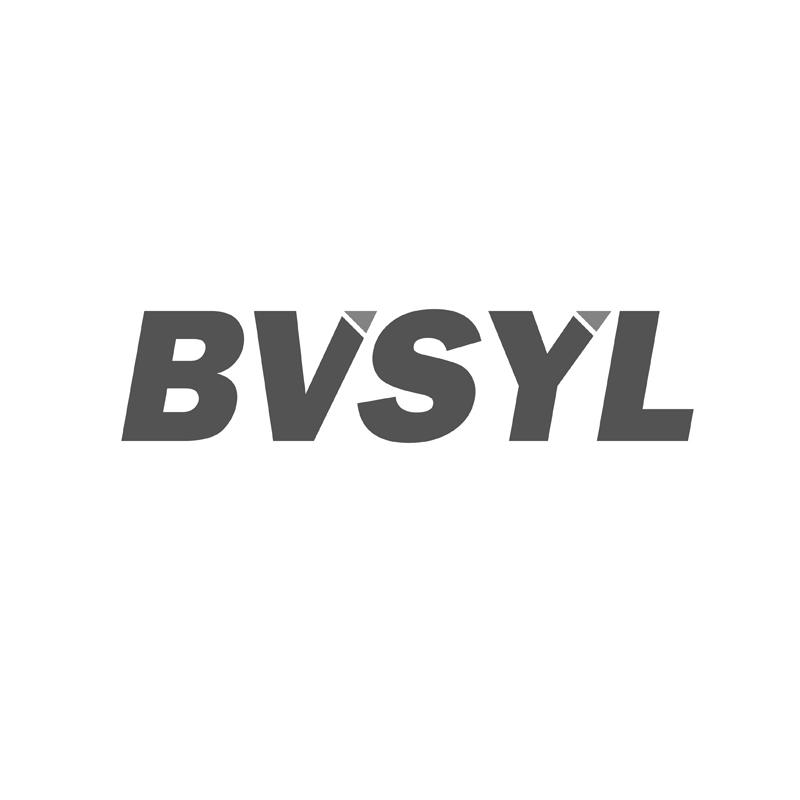 18类-箱包皮具BVSYL商标转让