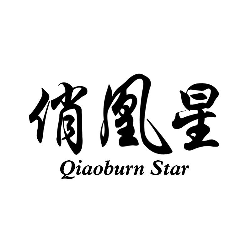 09类-科学仪器俏凰星  QIAOBURN STAR商标转让