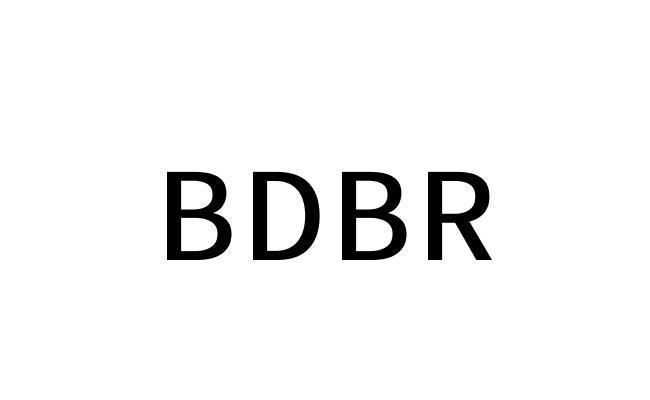 09类-科学仪器BDBR商标转让