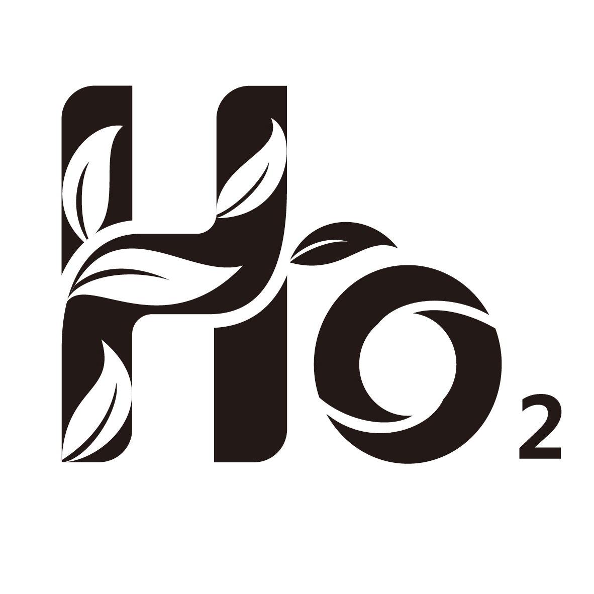11类-电器灯具HO 2商标转让