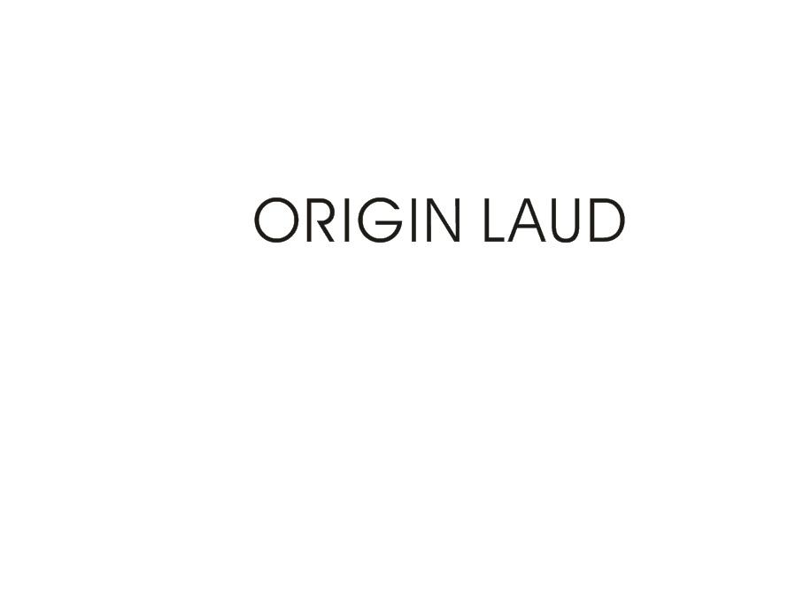 09类-科学仪器ORIGIN LAUD商标转让