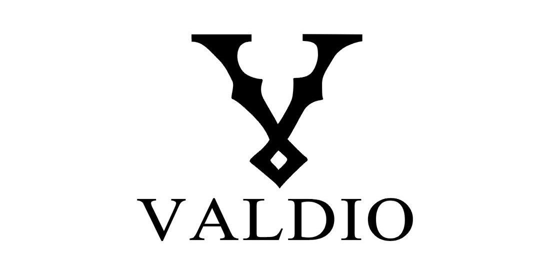 09类-科学仪器V VALDIO商标转让