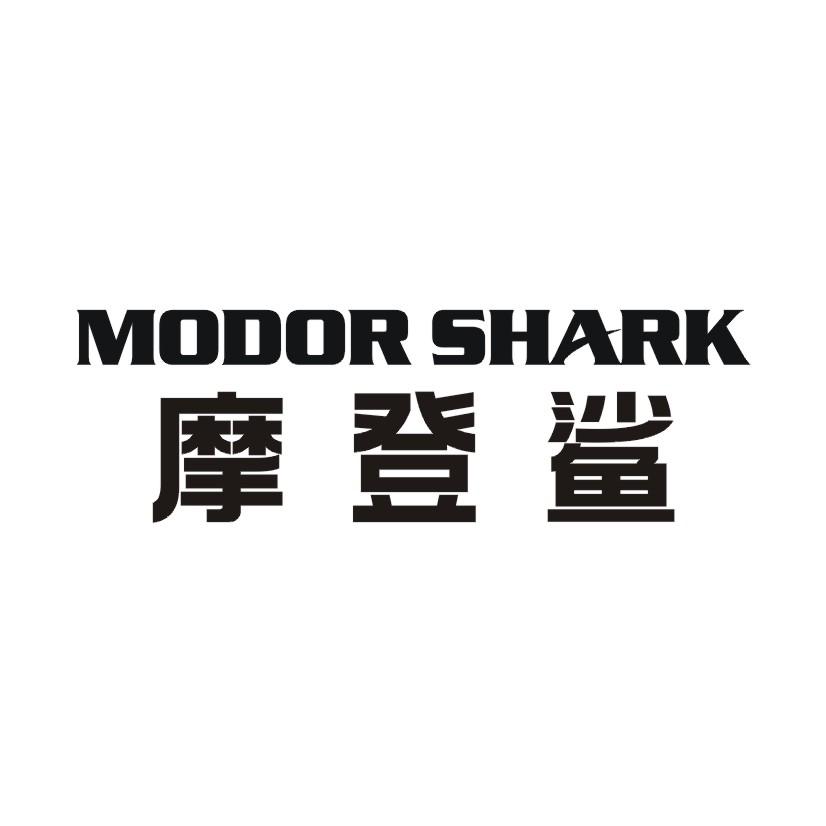 摩登鲨  MODOR SHARK