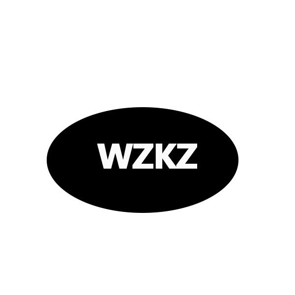 25类-服装鞋帽WZKZ商标转让