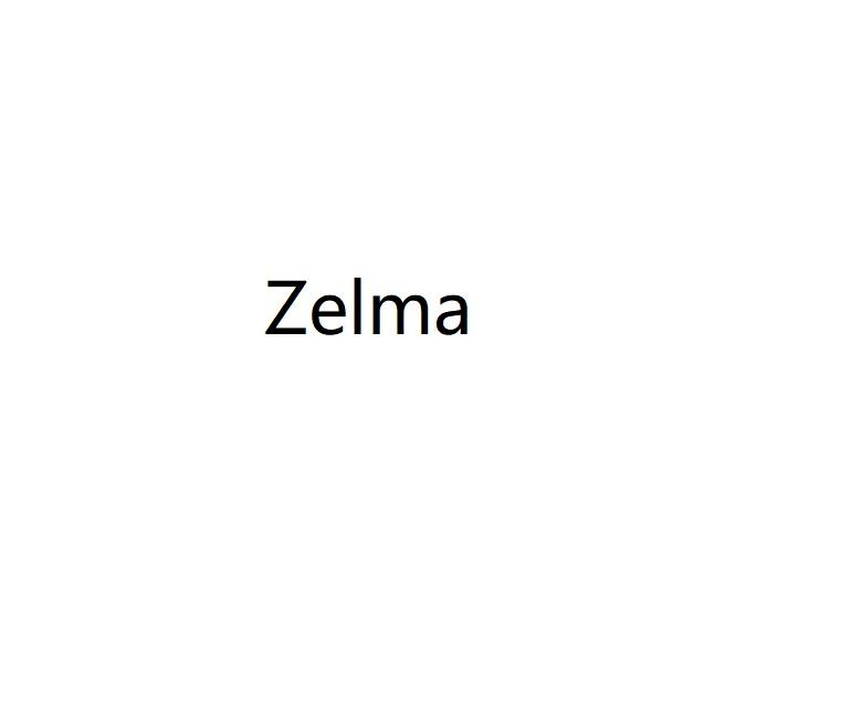 25类-服装鞋帽ZELMA商标转让