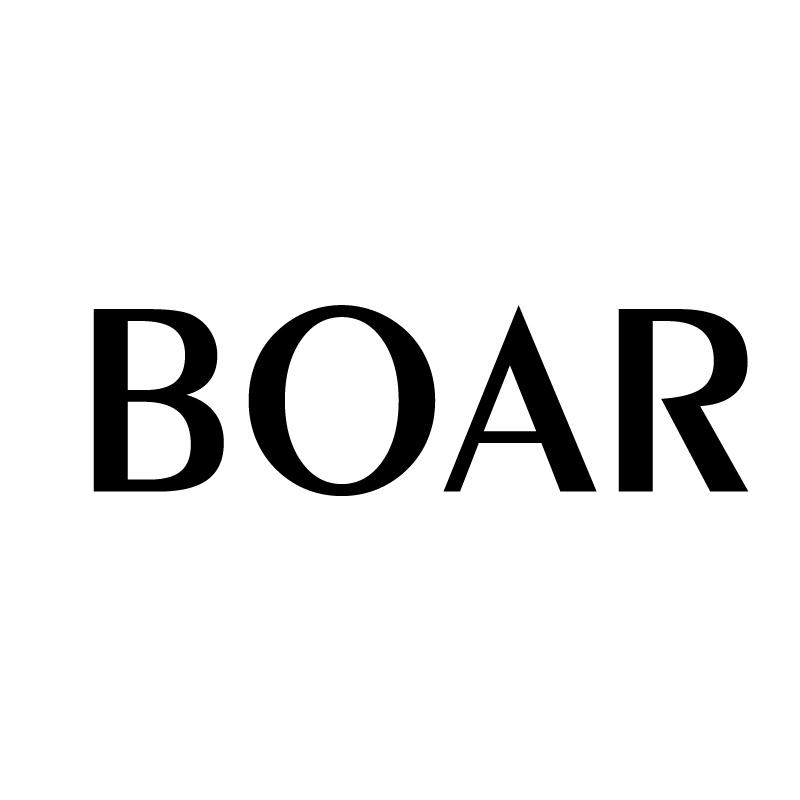 34类-娱乐火具BOAR商标转让