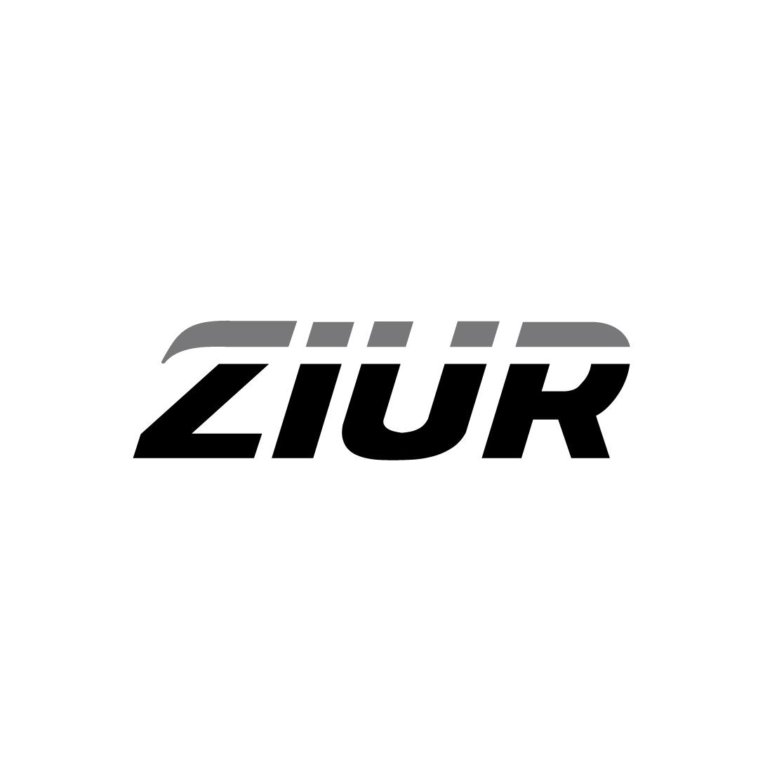 28类-健身玩具ZIUR商标转让