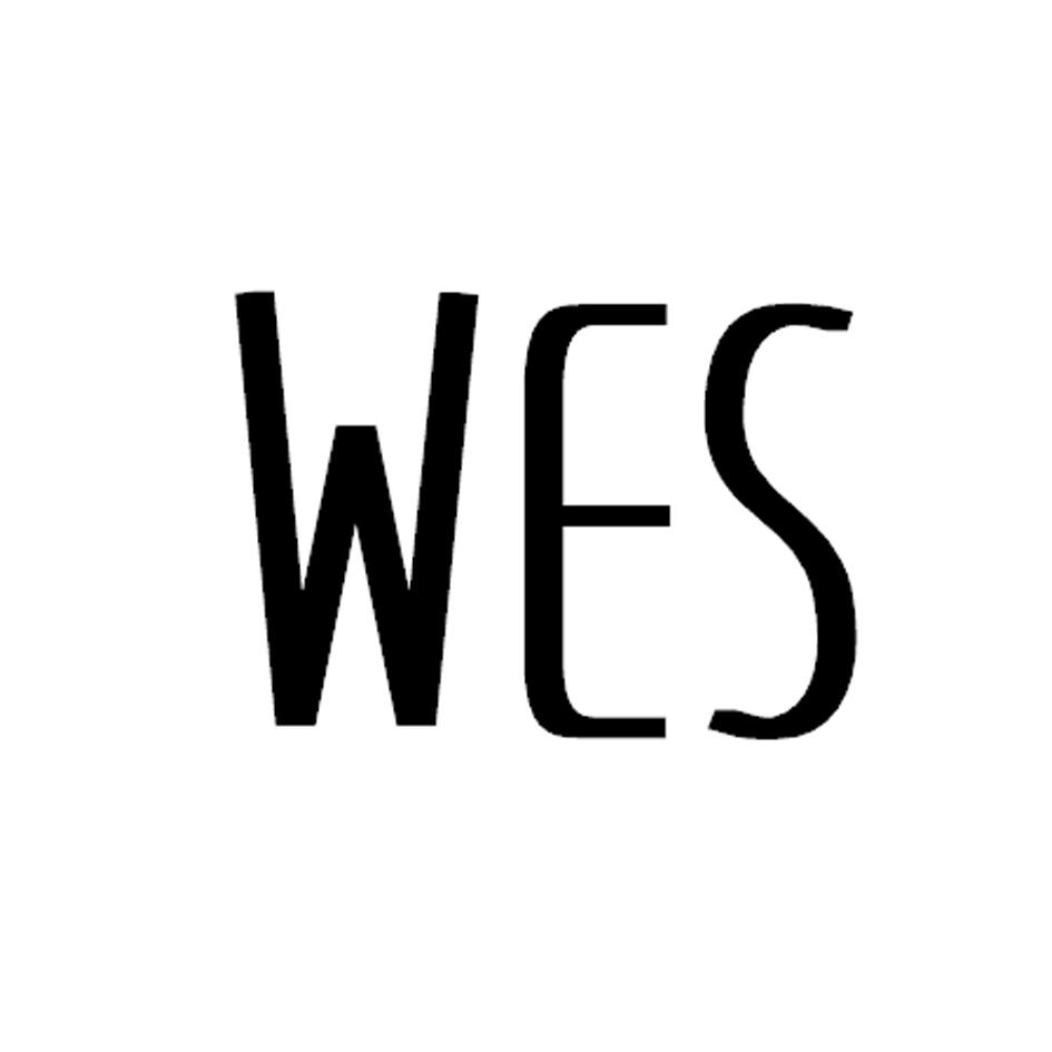 26类-纽扣拉链WES商标转让