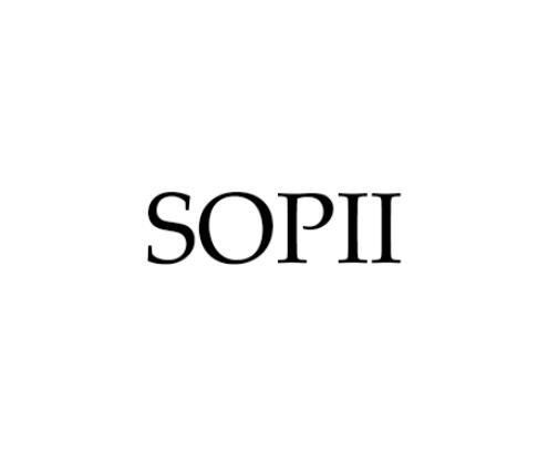 06类-金属材料SOPII商标转让