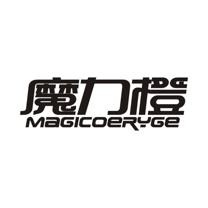 09类-科学仪器魔力橙 MAGICOERYGE商标转让