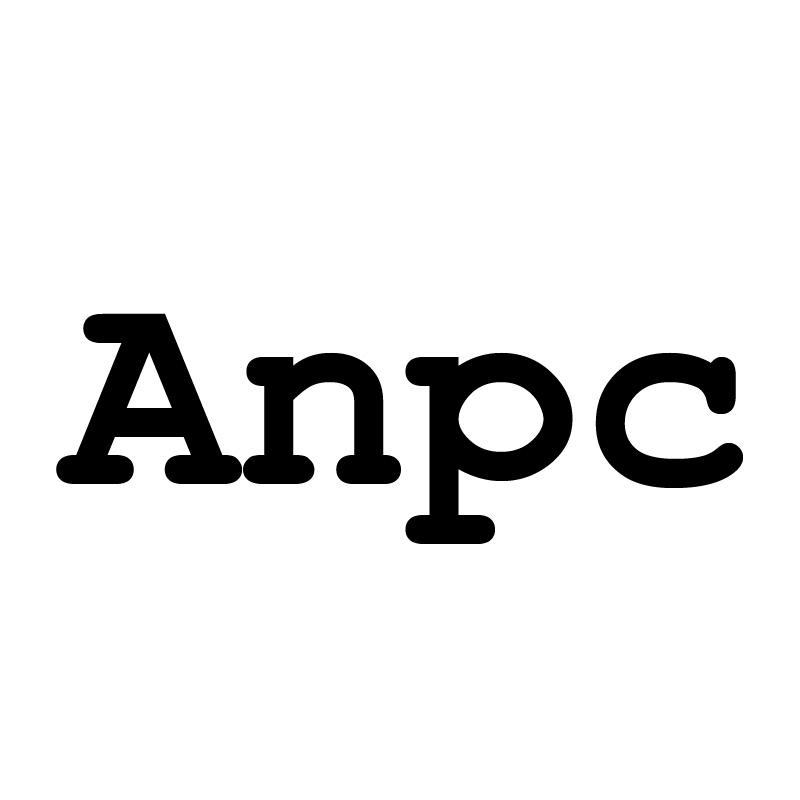 25类-服装鞋帽ANPC商标转让