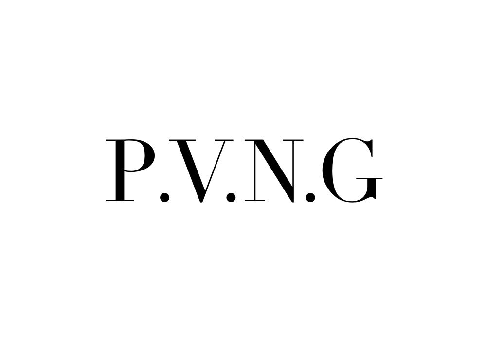 25类-服装鞋帽P.V.N.G商标转让