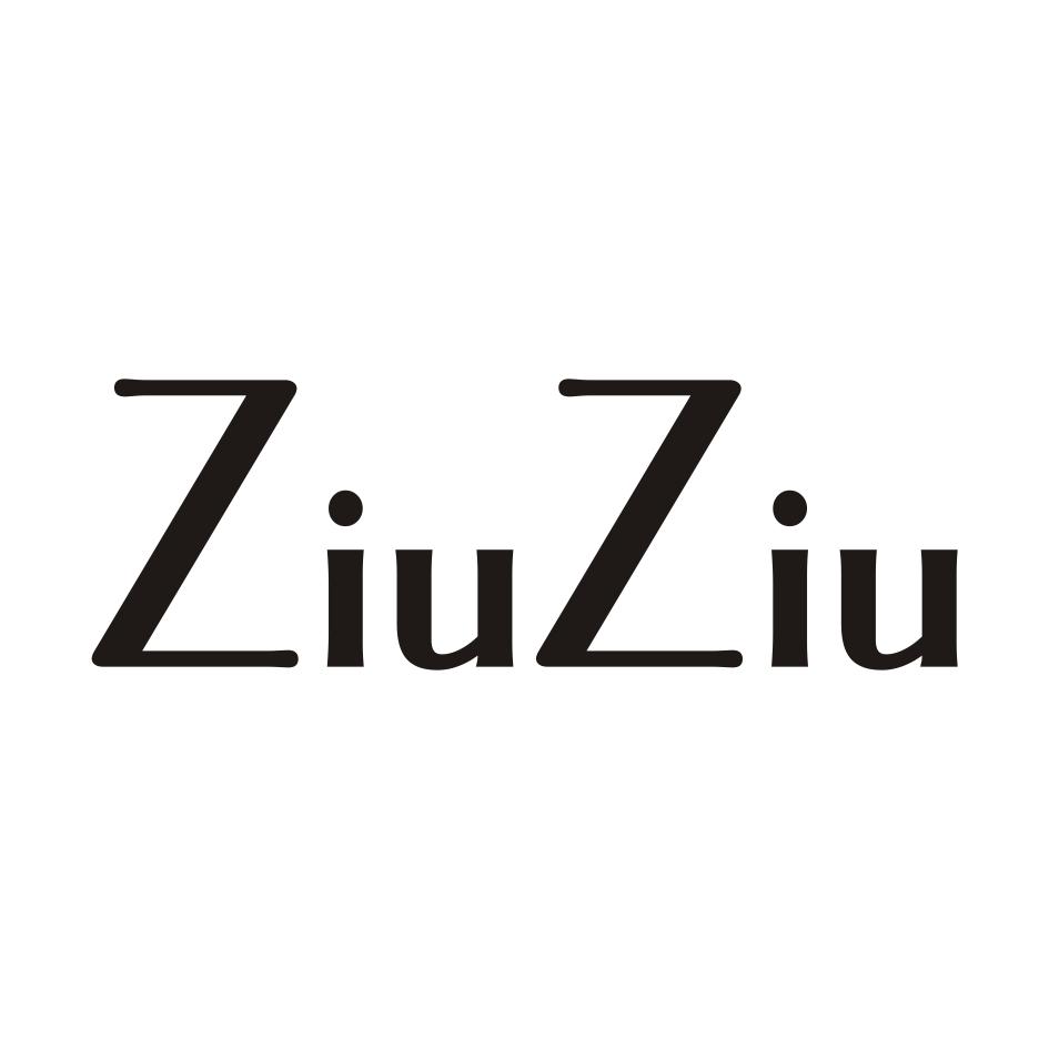 09类-科学仪器ZIUZIU商标转让