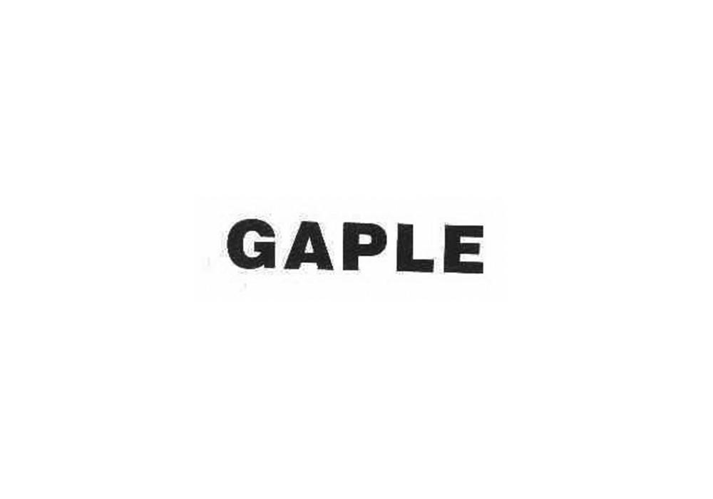 09类-科学仪器GAPLE商标转让