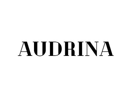 09类-科学仪器AUDRINA商标转让