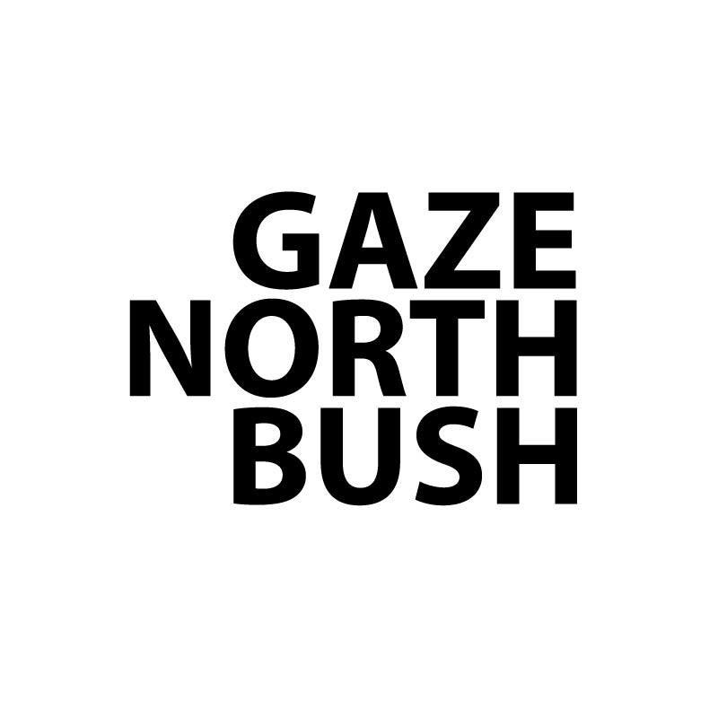 GAZE NORTH BUSH