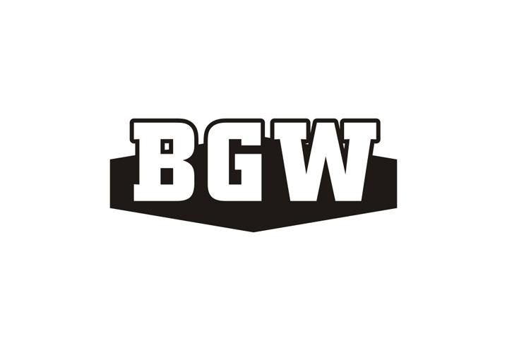 28类-健身玩具BGW商标转让