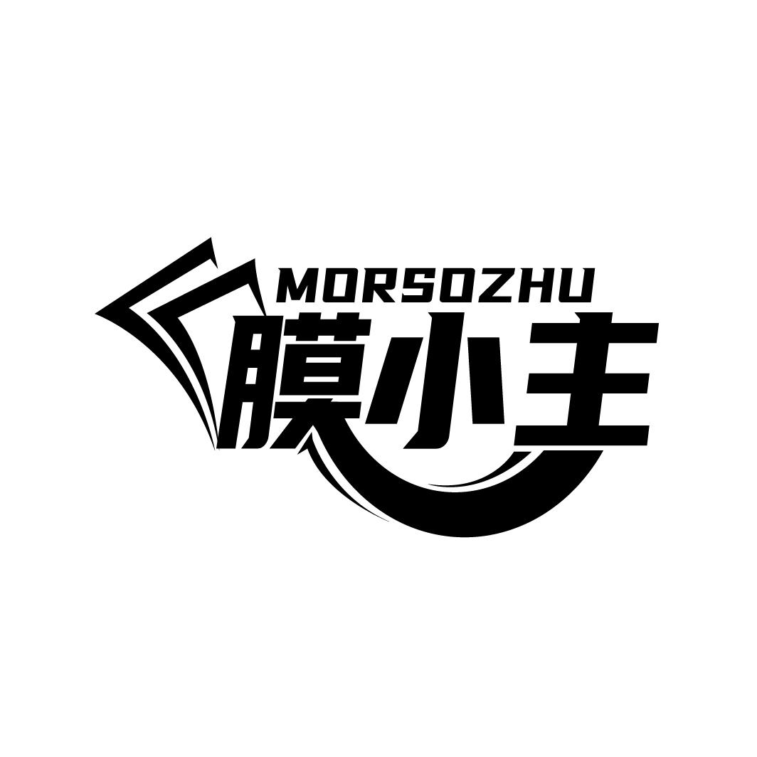 09类-科学仪器膜小主 MORSOZHU商标转让