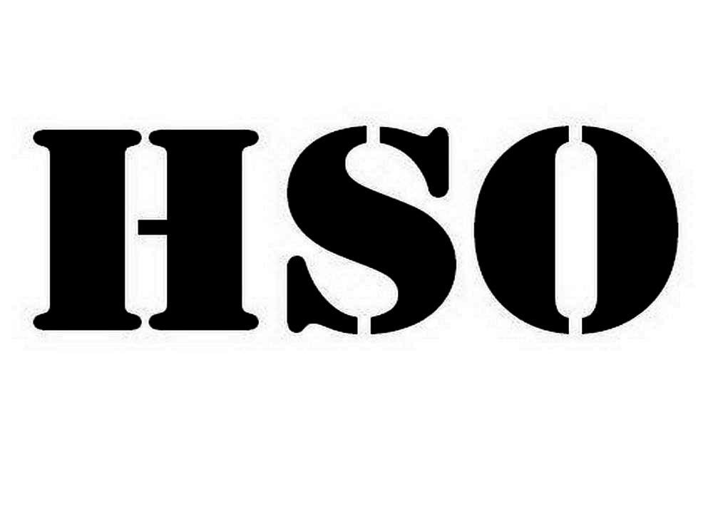 44类-医疗美容HSO商标转让