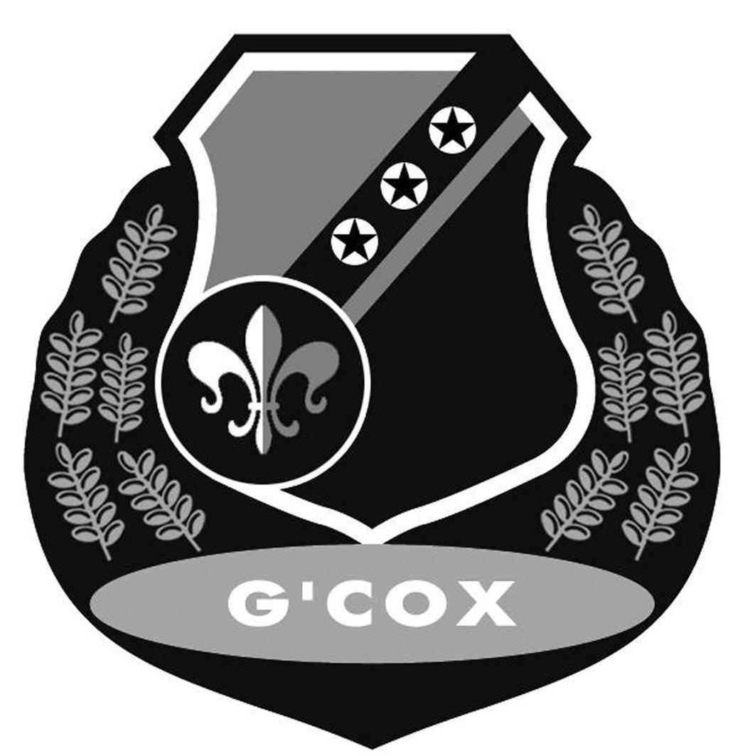 G'COX商标转让